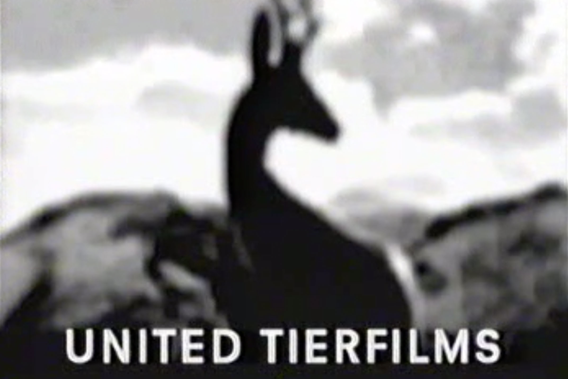 United Tierfilms Kurzfilme